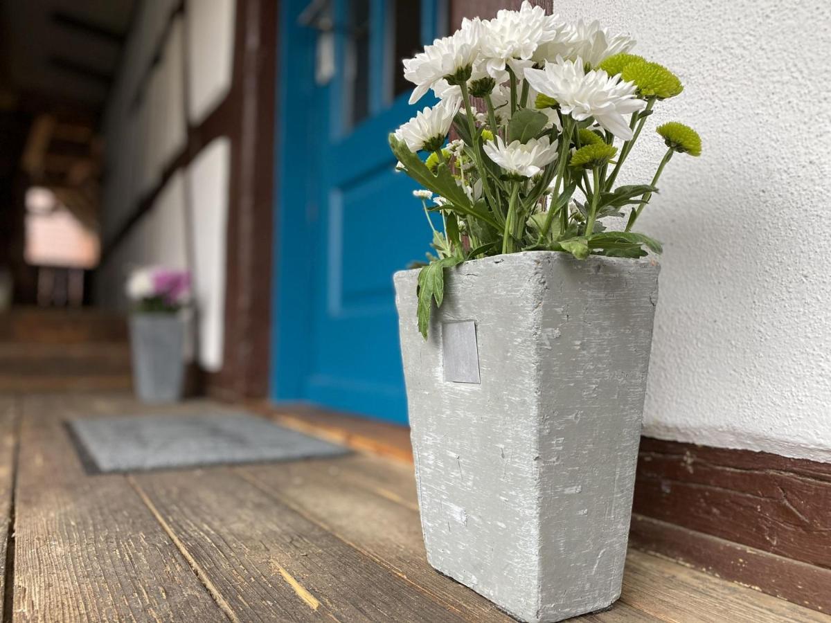 Traumhaft Wohnen Im Haus Blum Herbolzheim Exterior foto